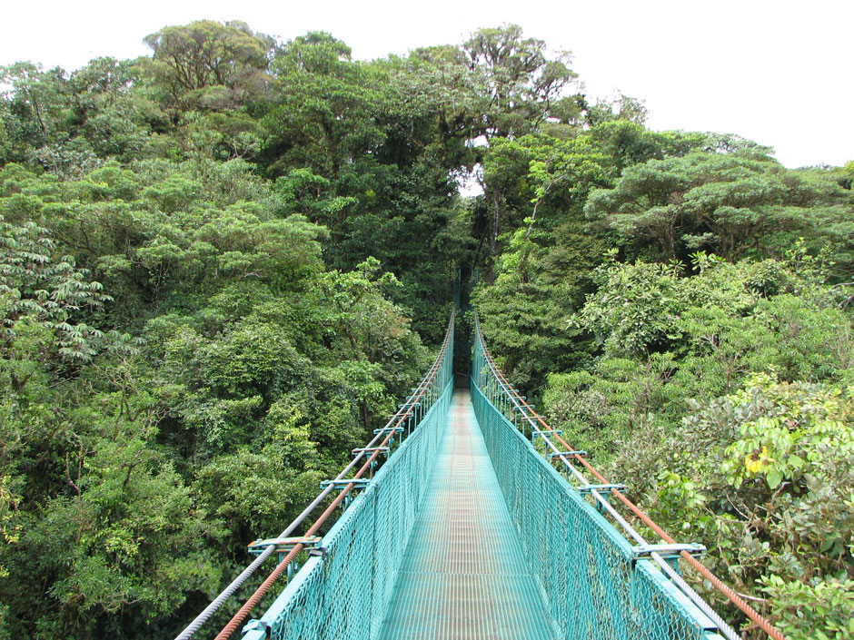 Monteverde Hanging Bridges