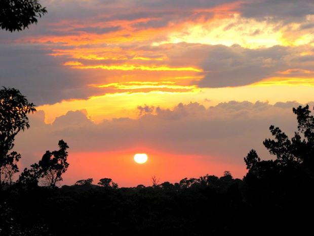 Monteverde Sunset