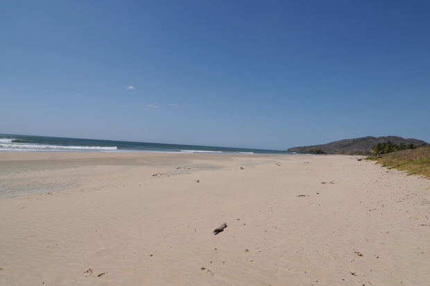 Playa Grande Guanacaste