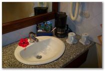 deluxebathroom7.jpg