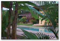 outside_garden_shot.jpg